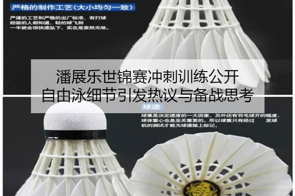 潘展乐世锦赛冲刺训练公开 自由泳细节引发热议与备战思考